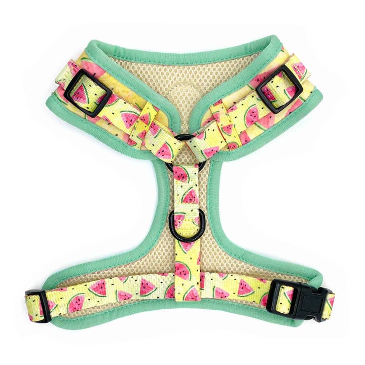 Pipco Pets - Wholesale Pet Harness - Dog - 4-Piece Walkies Bundle: Summer Melons