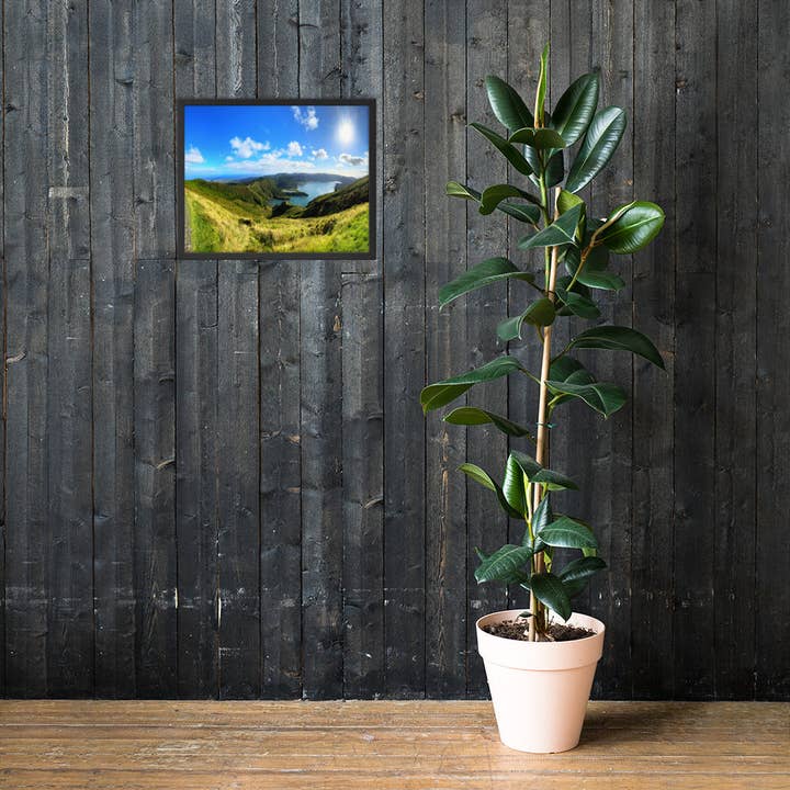 Monmouth Paragon - Wholesale Poster - Mountain to Sea Framed Posters32