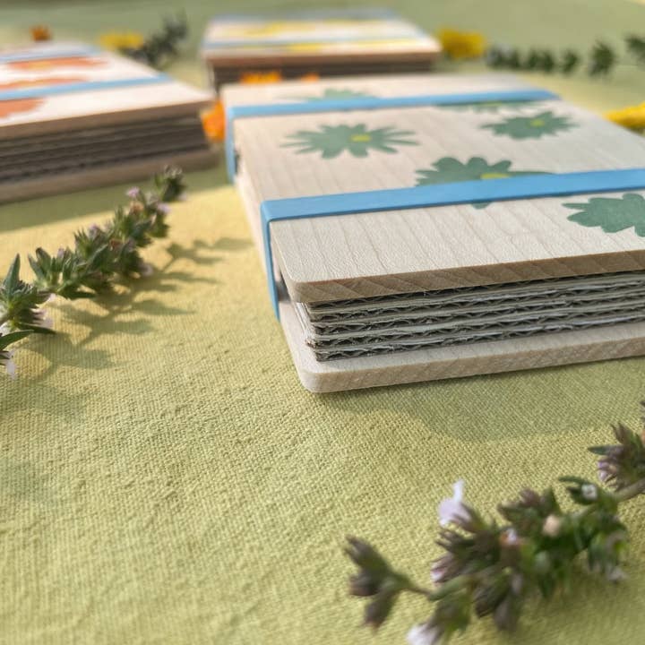 Soil Studio - Wholesale DIY Craft Kit - Button Chamomile Pocket Flower Press