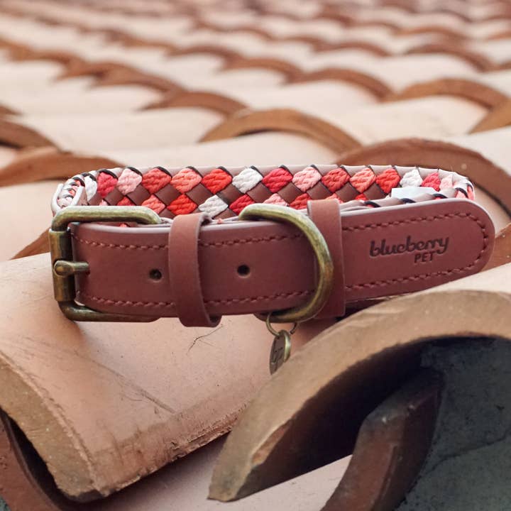Blueberry Pet - Wholesale Pet Collar - Dog - 2 Colors, Braided Full Grain Leather Dog Collar