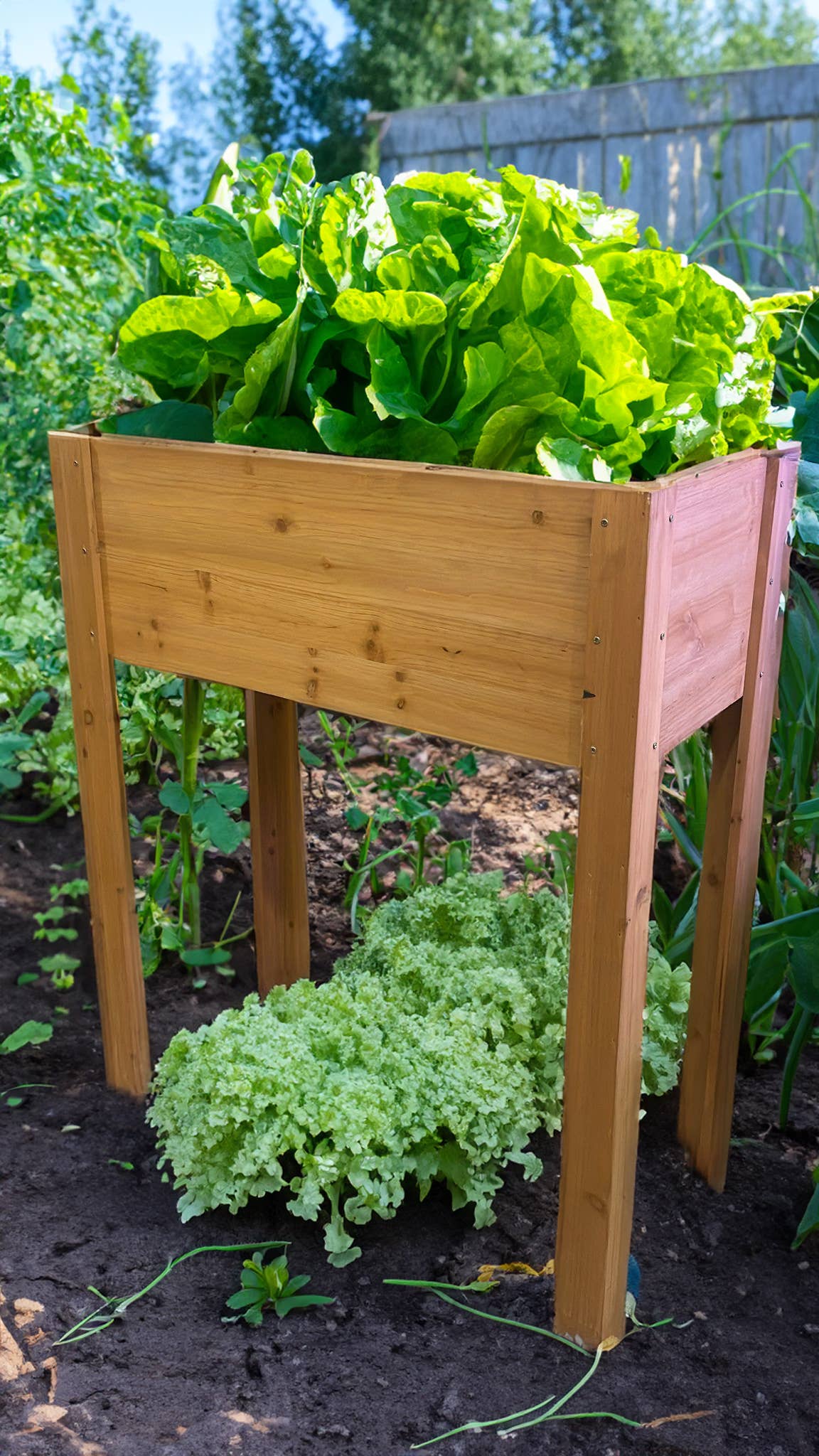 JARDIN Y NATURA OUTDOOR & GARDEN PRODUCTS SL - Wholesale Planter Box - Wooden Raised Garden Bed2