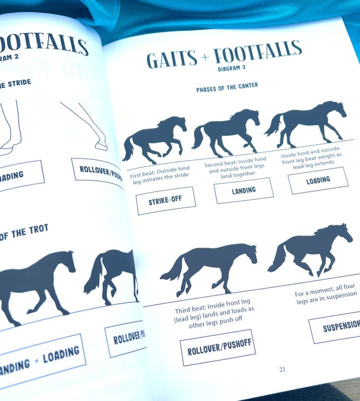 Circus Unicorn Shop - Wholesale Sports & Recreation Book - Western Riding Lessons & Activities7