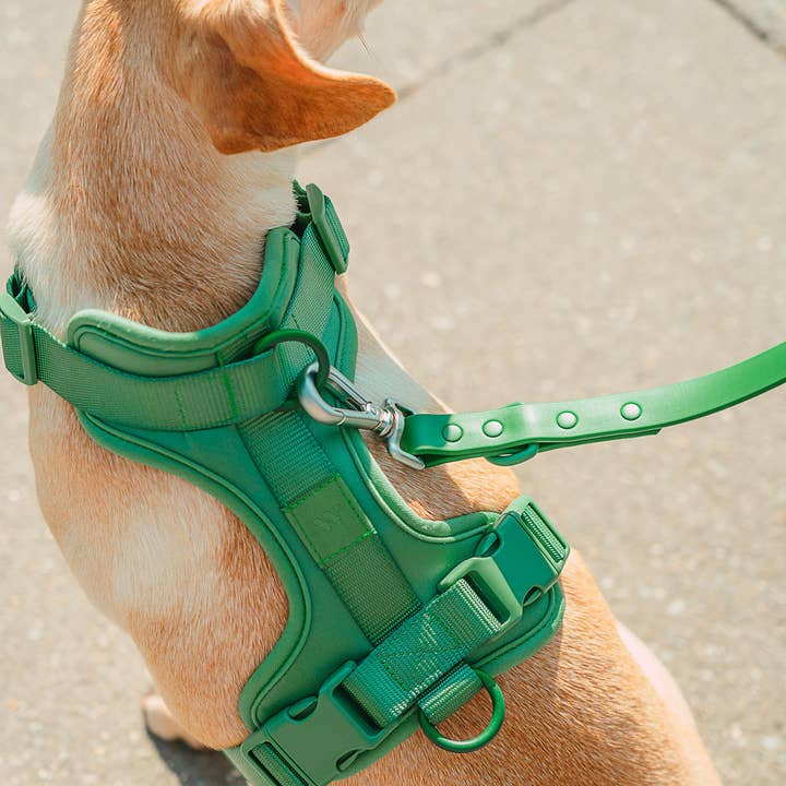 Wild One - Wholesale Pet Harness - Dog - Harness15