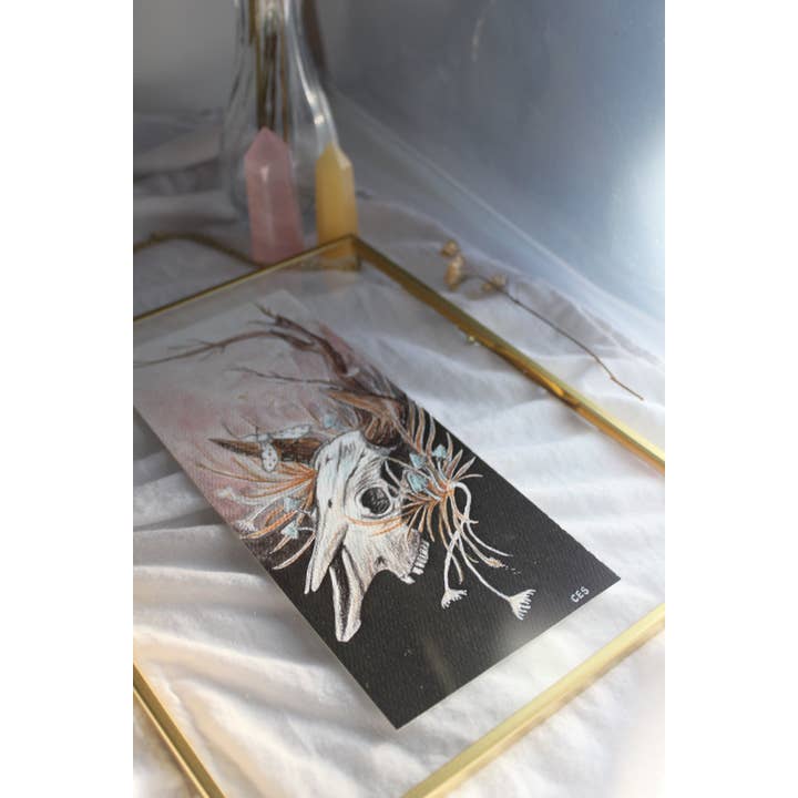 Bison Skull Framed Print for wholesale by Brevity Art