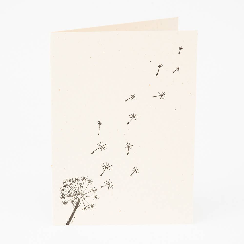 Studio Flash - Wholesale Everyday Greeting Card - F-P06 'Dandelion'0