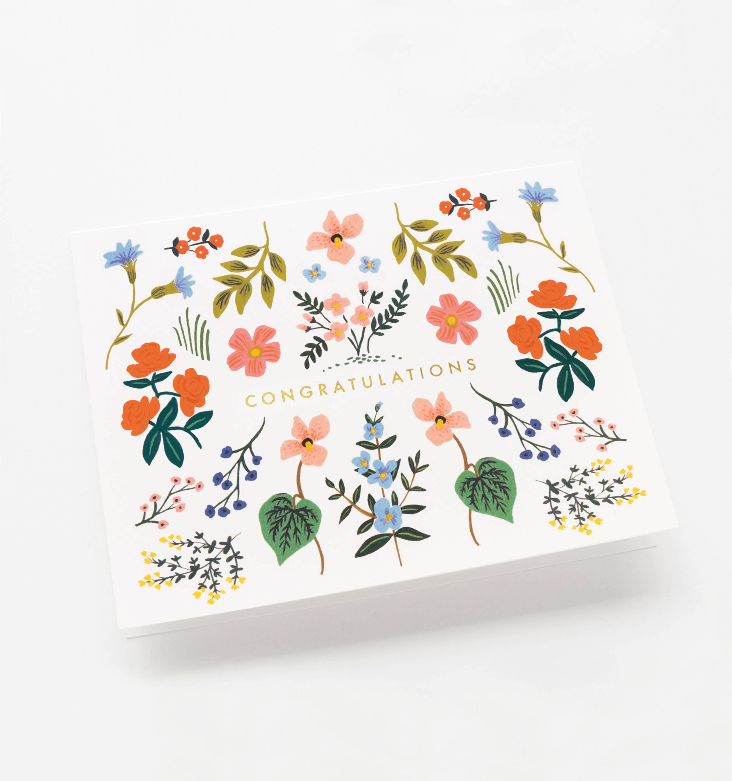 Rifle Paper Co. - Wholesale Congratulations Card - Wildwood Congrats Card1