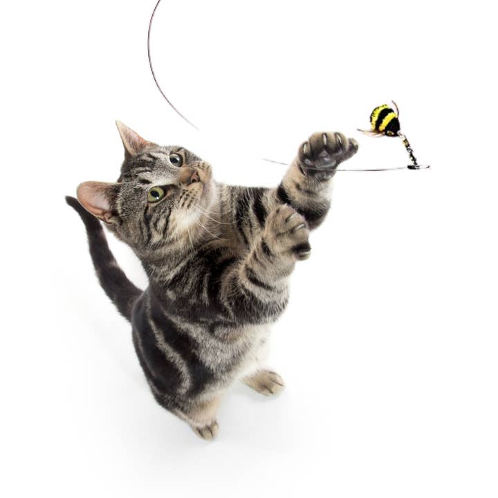 Elite Pet Distributors - Wholesale Pet Toy - Cat - Go Cat Da Bee Cat & Kitten Wand Toy4