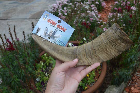 QT Dog, LLC - Wholesale Pet Chew Toy - Dog - Gobi Goat Horn6