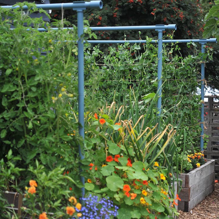 Seattle Urban Farm Company - Wholesale Trellis - Freyr trellis