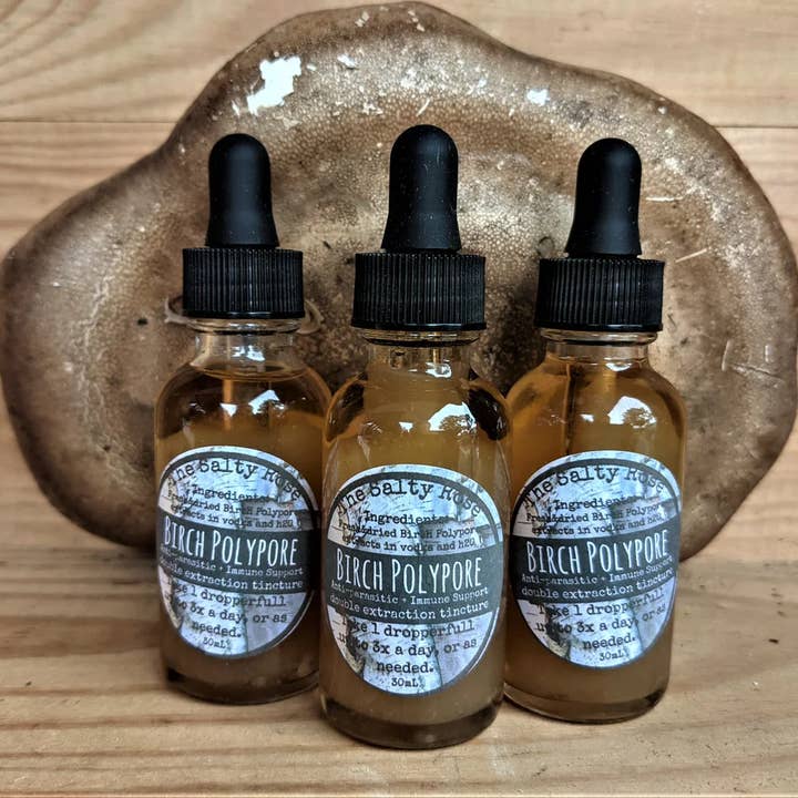 Tintura di funghi Birch Polypore per la vendita all'ingrosso da parte di The Salty Rose