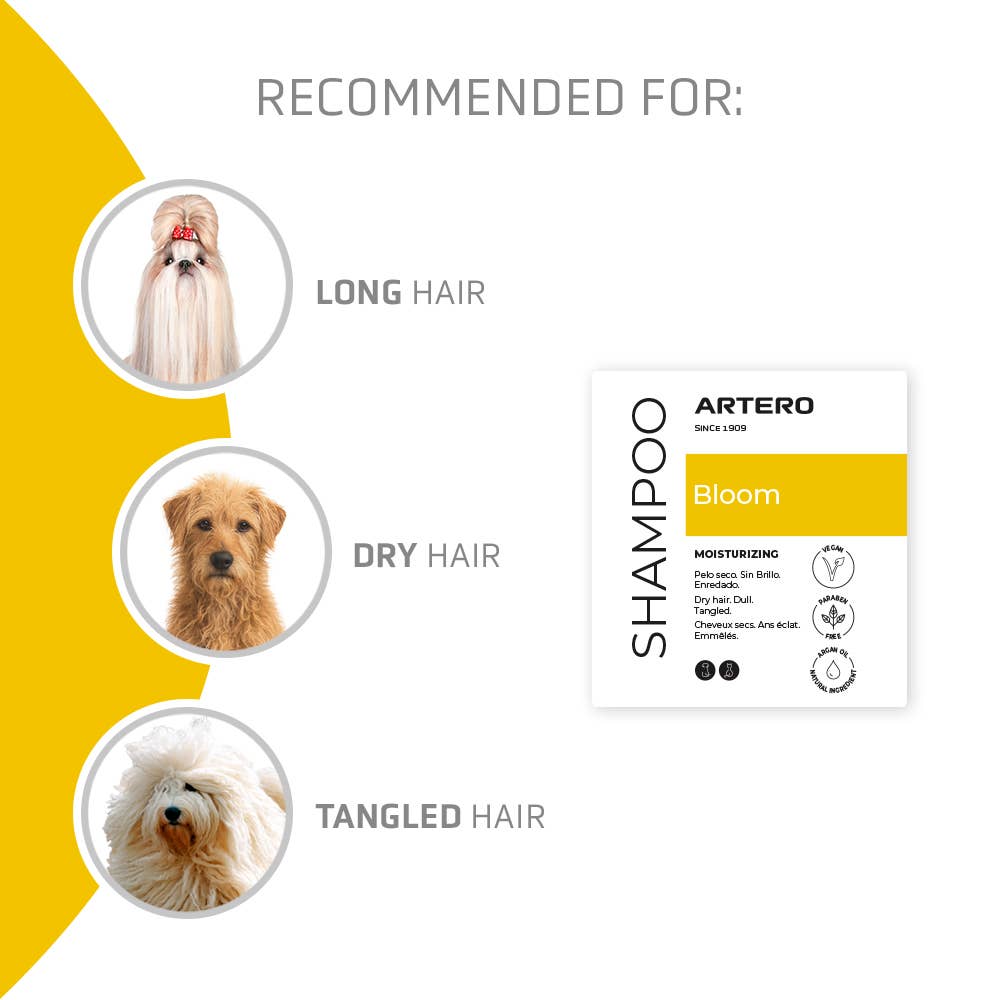 ARTERO Inspiring Style – Großhandel Haustiershampoo – Hund – Artero Bloom Hundeshampoo mit Arganöl, 5000 ml1