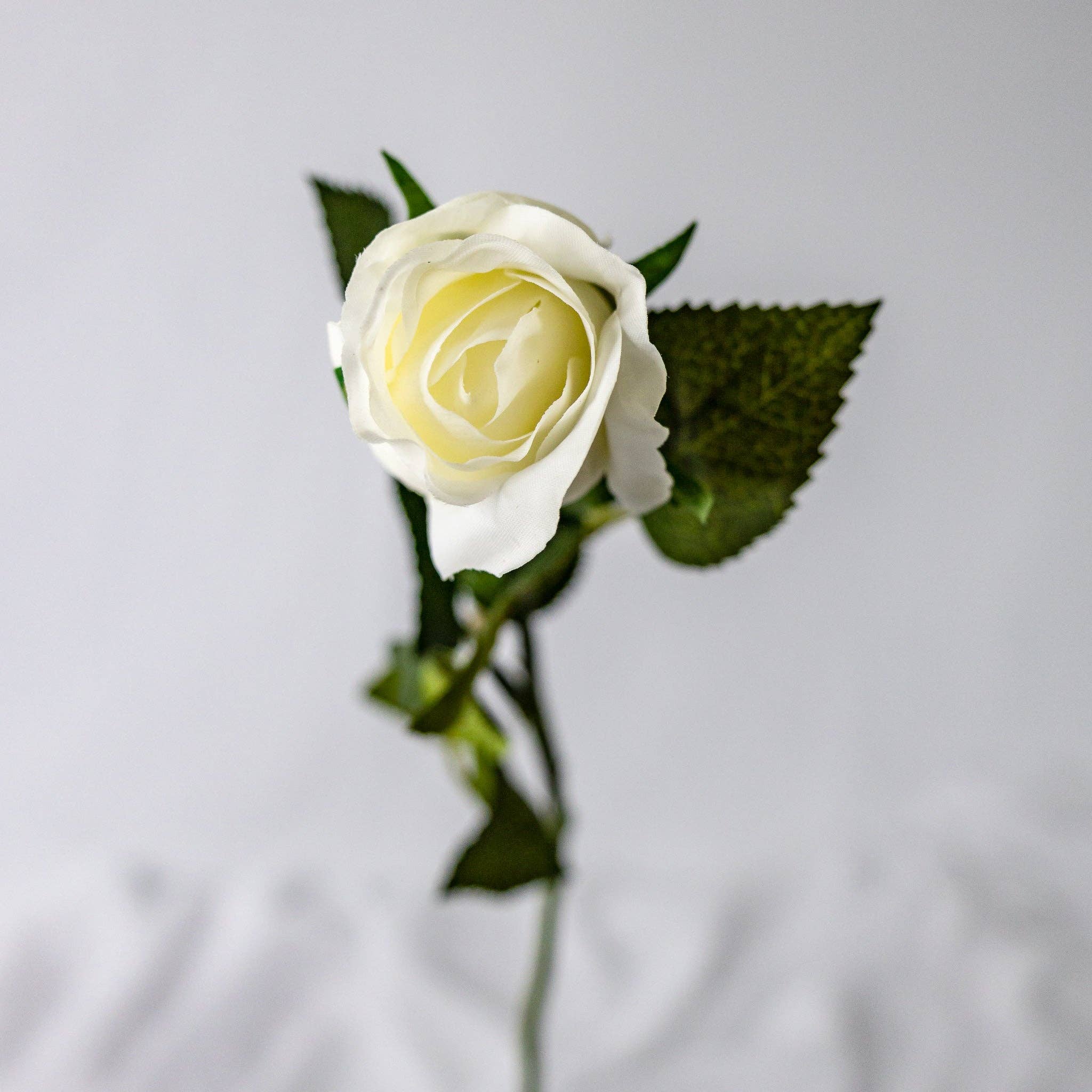Realistic Artificial Flowers - Wholesale Artificial flowers - Bridal White Real Touch Rose - Open Bud2