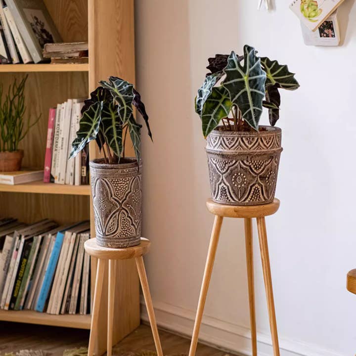 Pot de fleurs en argile Classic Element Art Planter pour la vente par Rustic Reach