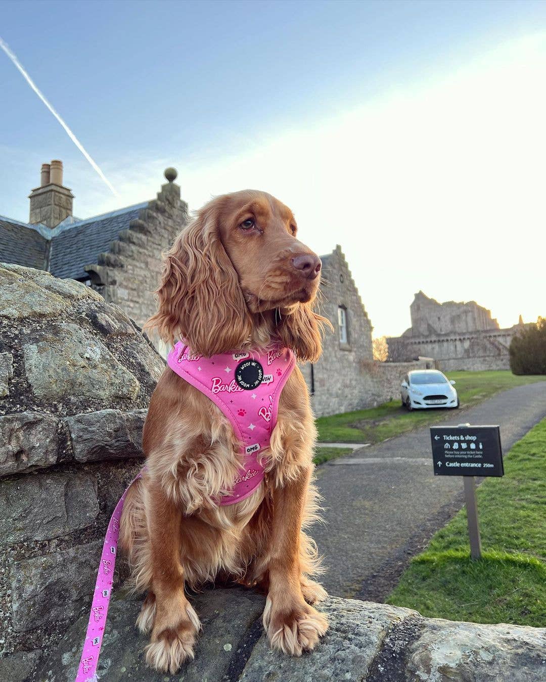 WOOF INC - Wholesale Pet Harness - Dog - Pink Barkie Dog Harness XS - L5