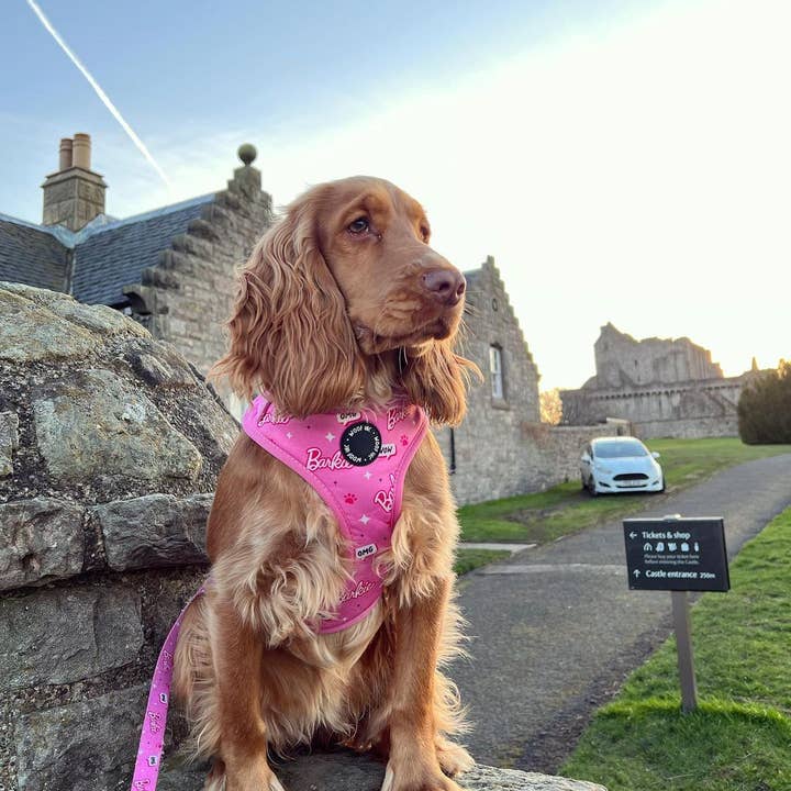 WOOF INC - Wholesale Pet Harness - Dog - Pink Barkie Dog Harness XS - L5