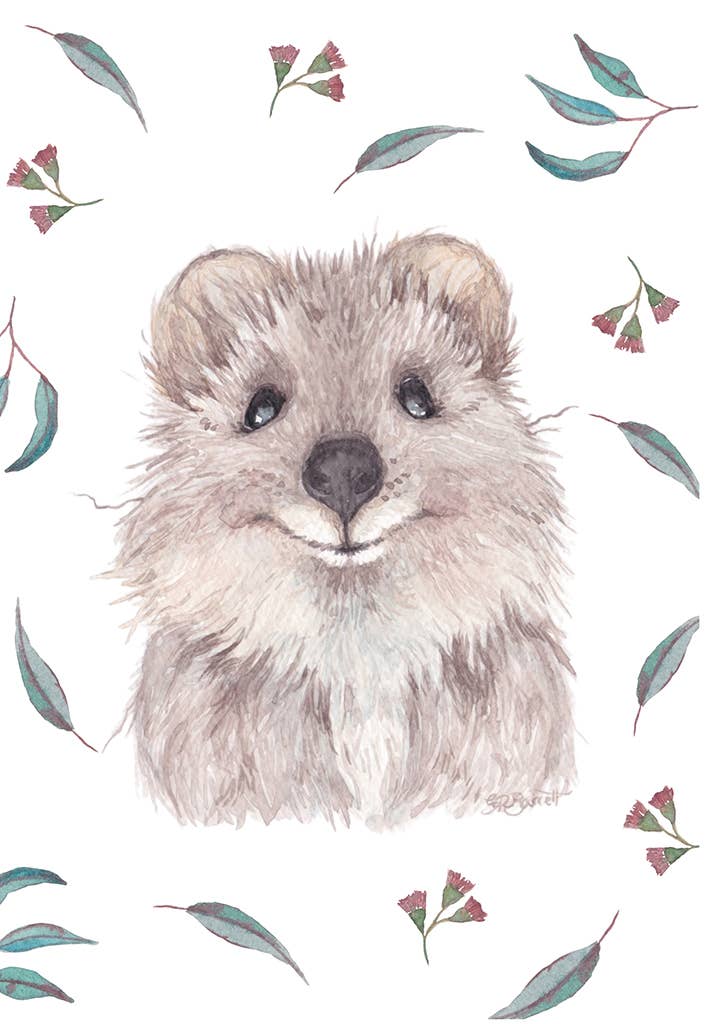 spirit publishing pty ltd - Wholesale Everyday Greeting Card - JORDIE QUOKKA0