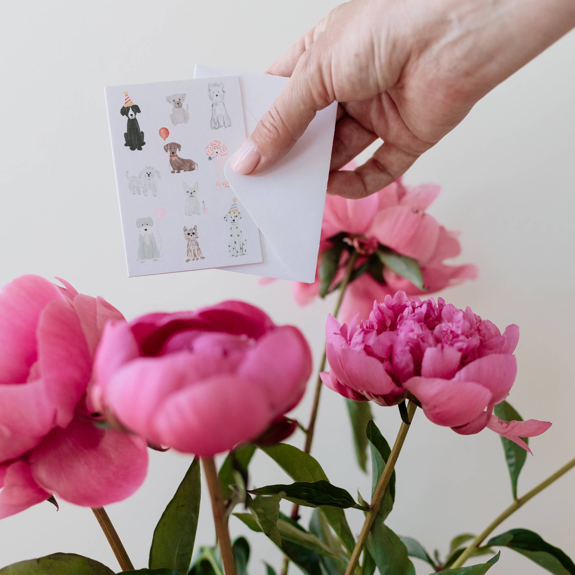 Ramona & Ruth - Wholesale Birthday Card - Doggone Birthday Mini Card1