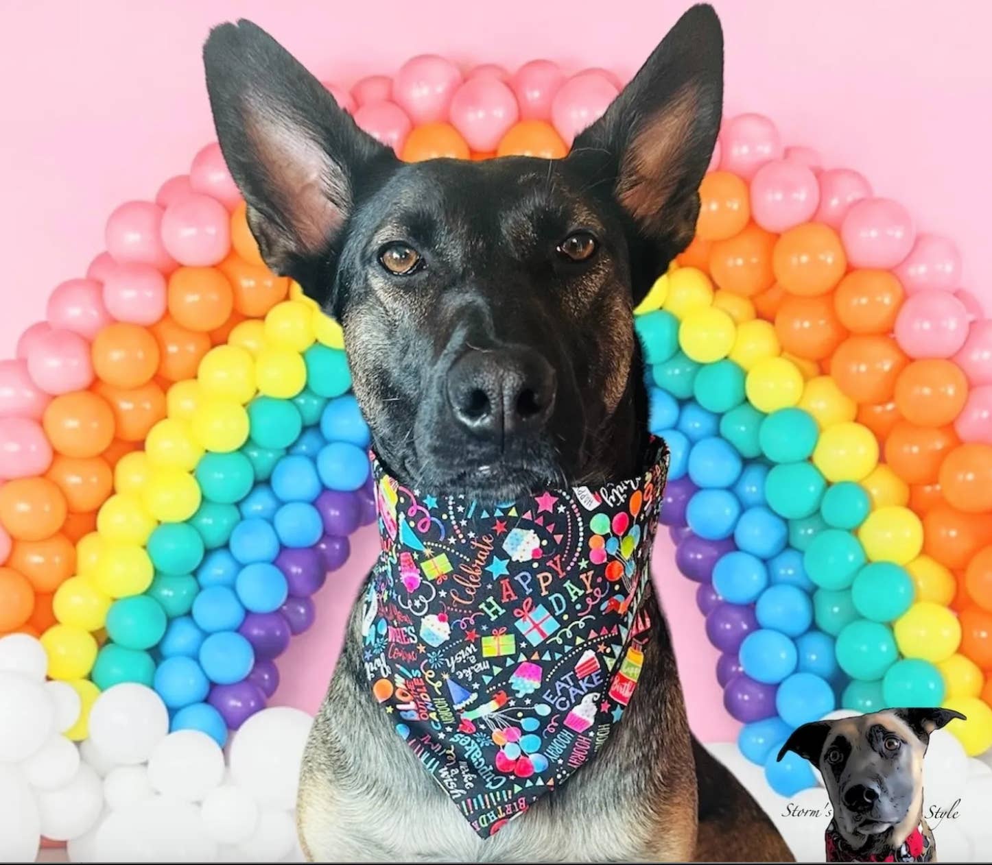 Storms Style - Wholesale Pet bandana – Dog - Birthday Wishes Pet Bandanas - Dog Cat