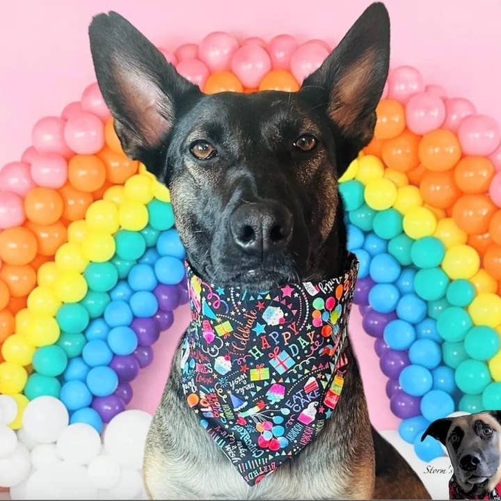 Storms Style - Wholesale Pet Bandana - Dog - Birthday Wishes Pet Bandanas - Dog Cat0
