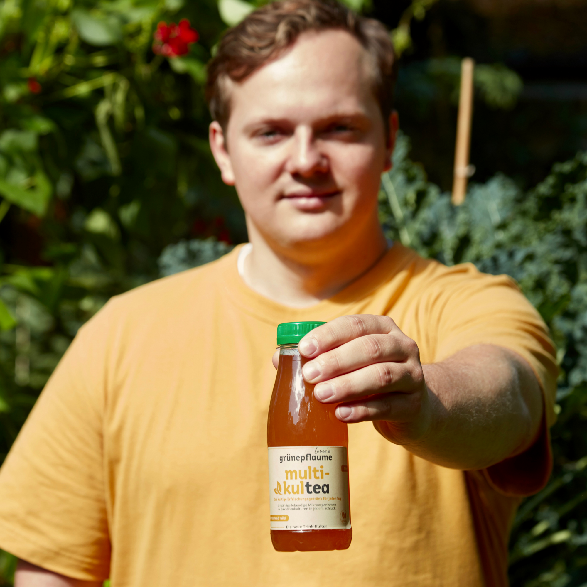 Louie's Grünepflaume - Wholesale Health/Detox Tea - organic multi-cultea2