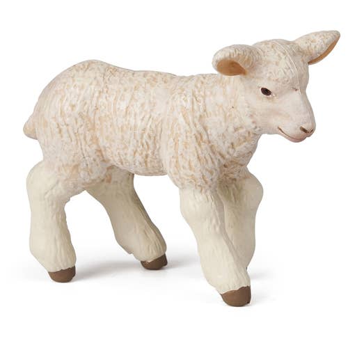 Lamb for wholesale by DAM