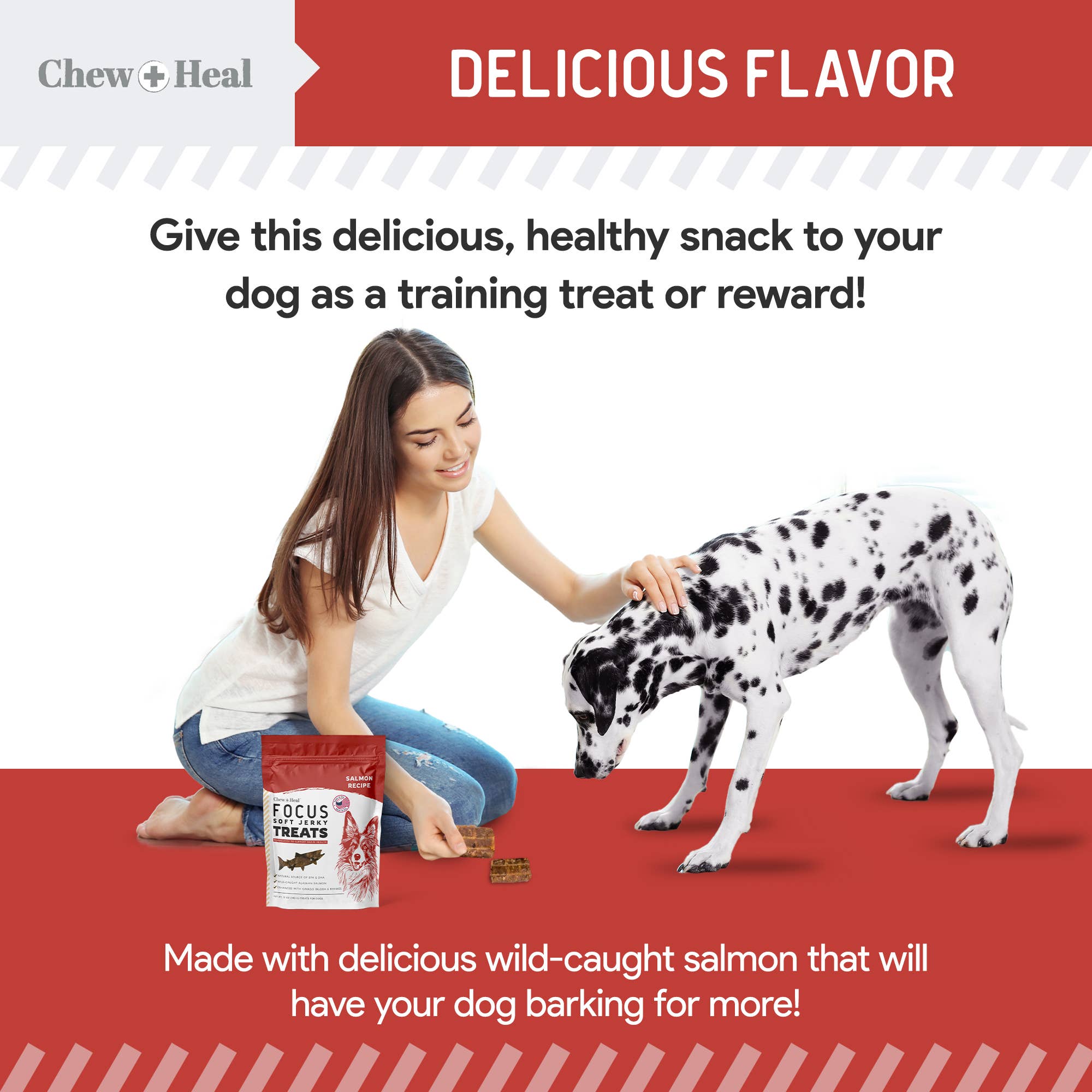 Chew + Heal - Vente Friandises – chien - Friandises pour chiens à ingrédients limités au saumon sauvage d'Alaska Focus6