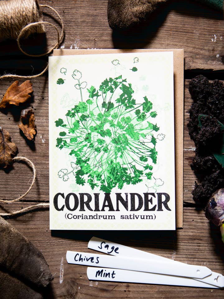 Koriander 127 x 177 mm portretwenskaart voor wholesale door Jo Stafford