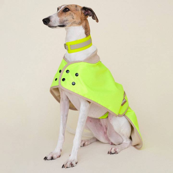 THE GLOW RAINCOAT regular-fit – Wasserdichter Hundemantel in Neongelb für den Großhandel von lumiies - high visibility