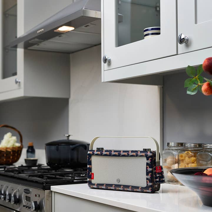 New Dawn Innovations – wholesale Speakers – Hepburn Voice12