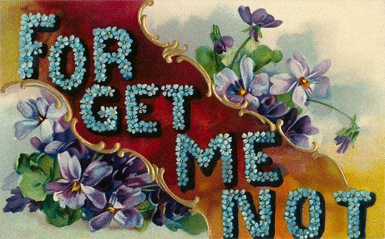 Found Image Press - Wholesale Postcard - Postcard LL-72 Forget Me Not0