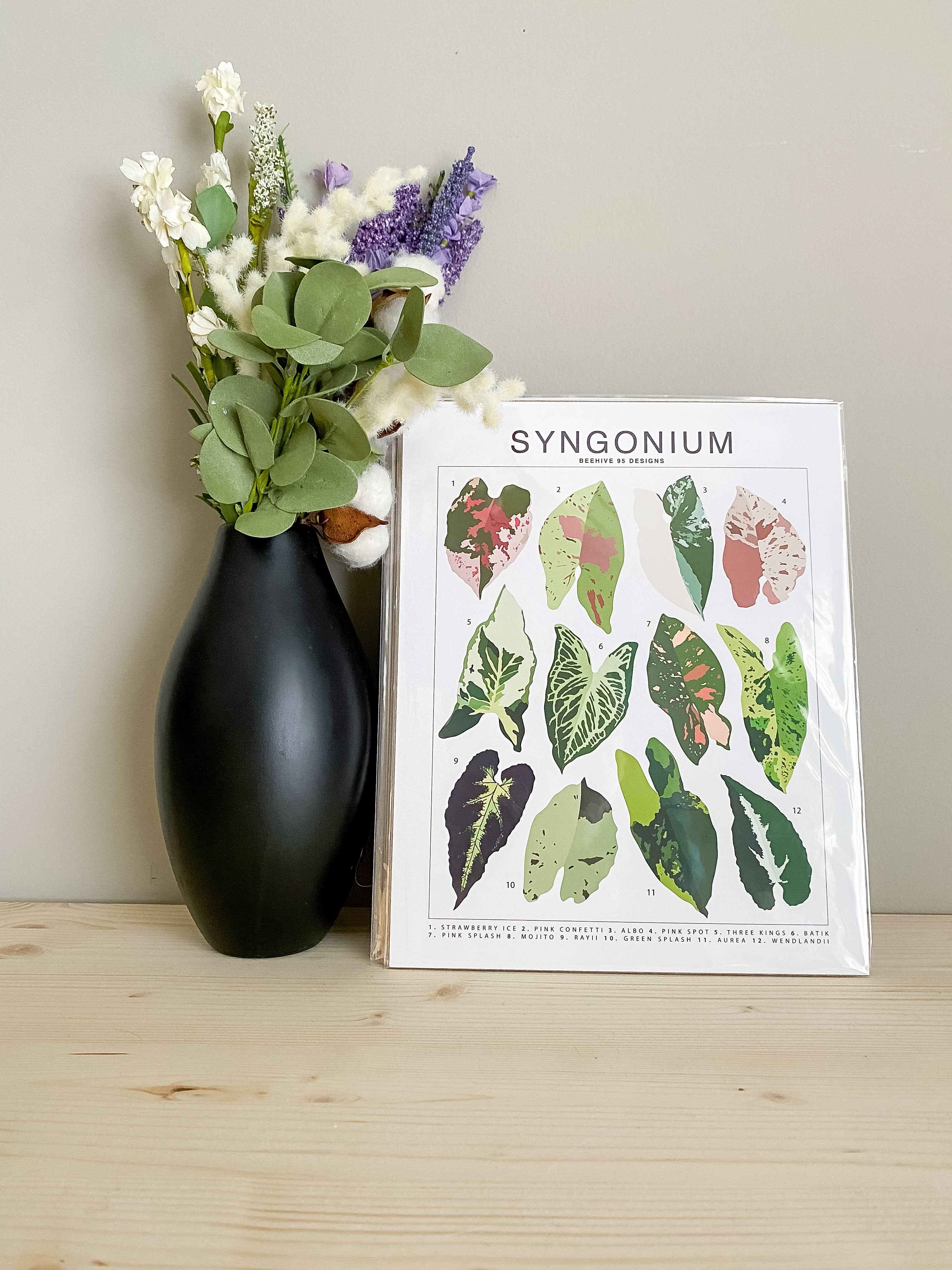 Beehive 95 Designs - Wholesale Art Print - Syngonium Species ID Chart - Botanical Houseplant Art Print1