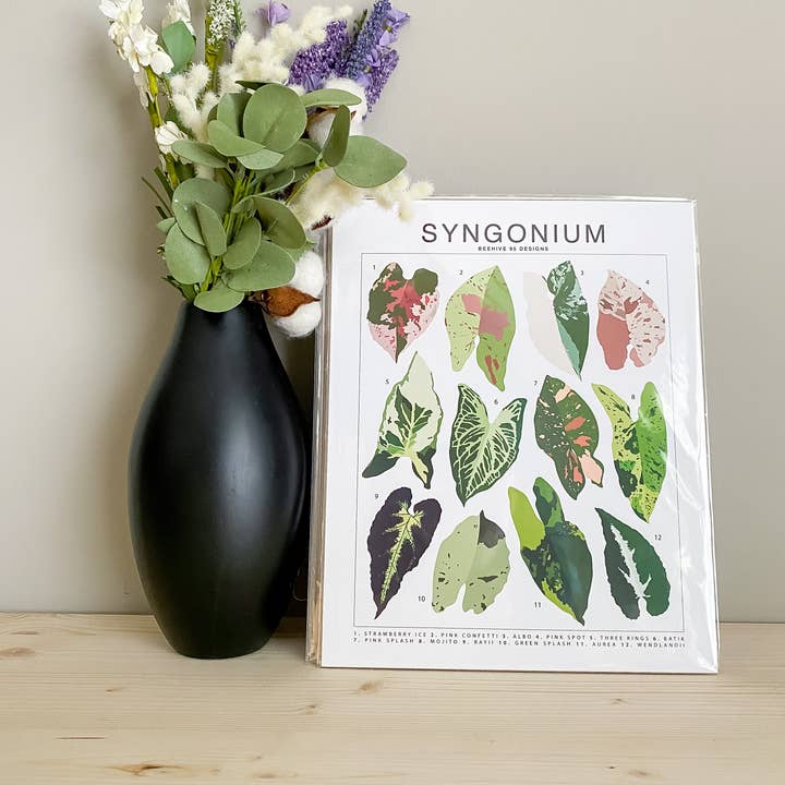 Beehive 95 Designs - Wholesale Art Print - Syngonium Species ID Chart - Botanical Houseplant Art Print1