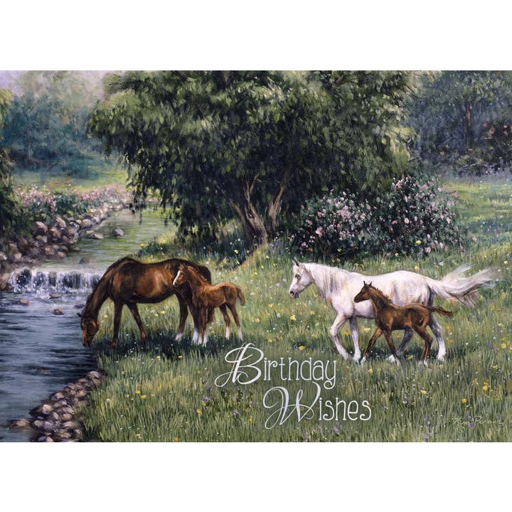 Crown Point Graphics - Wholesale Birthday Card - Celebrations - 48 Assorted Birthday Cards by Shared Blessings40