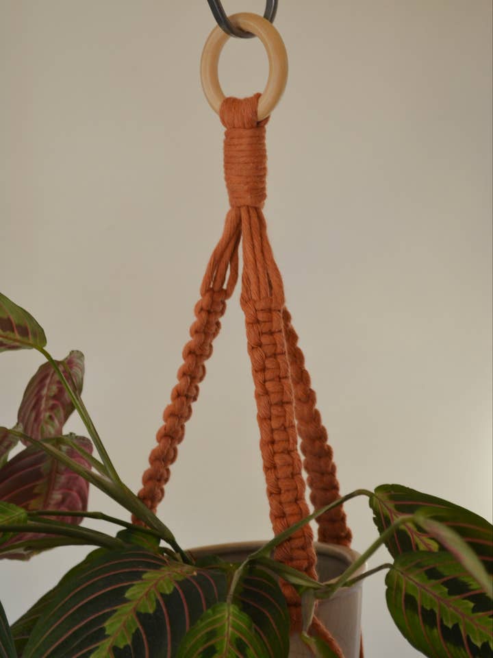 Macramé Petite Plant Hanger for wholesale by Hepburn’s Crafts
