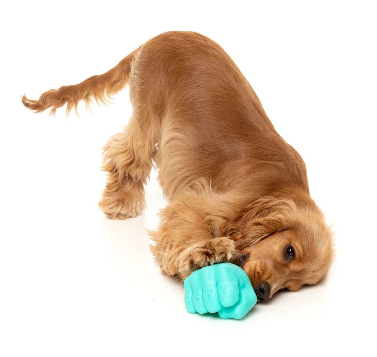 Pet Palette Distribution - Wholesale Pet Chew Toy - Dog - FuzzYard Knuckle Sandwich Dog Chew Toy4