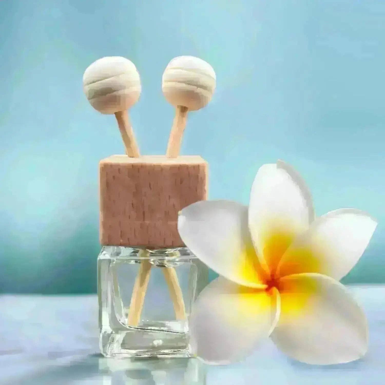 Sunshine + Saltwater – wholesale Luftrenare för bil – Unisex – Beach House | Mini bildiffusor6