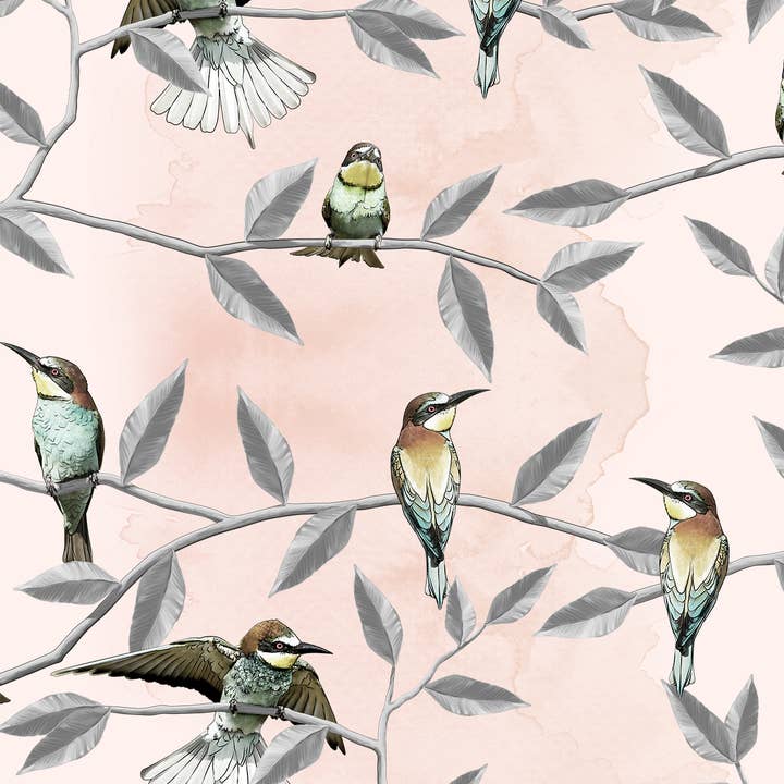 Bee Eater - Papel de Parede Blush por atacado de Detroit Wallpaper Co.
