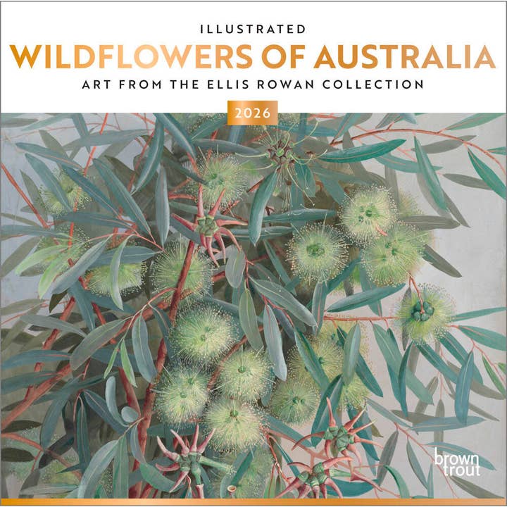 BrownTrout Publishers - Wholesale Calendar - Illustrated Wildflowers of Australia | 2026 12 x 24 Inch (Hanging) Monthly Square Wall Calendar | Foil Stamped Cover | Plastic-Free | BrownTrout | Nature Floral