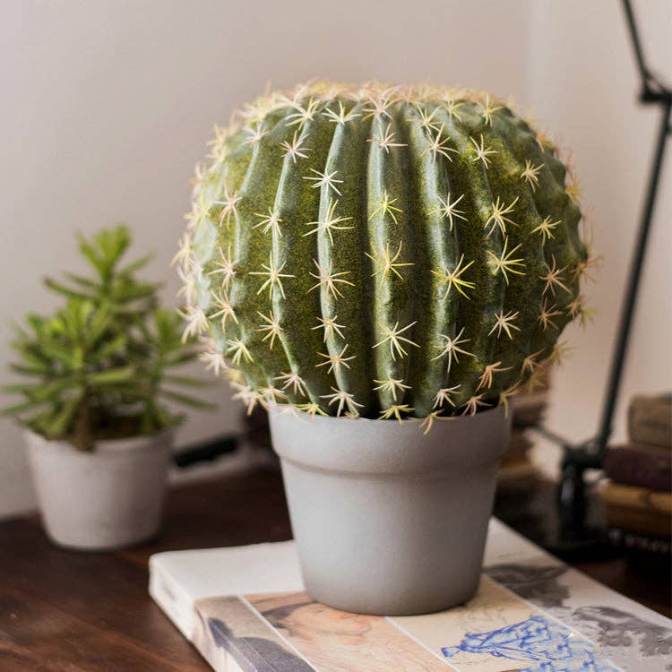 Rustic Reach - Wholesale Artificial Plant - Artificial Potted Cactus Ball4