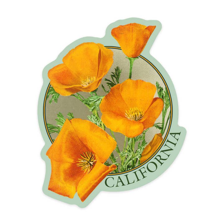 Lantern Press - Wholesale Sticker - Vinyl Sticker California, Poppy Flowers