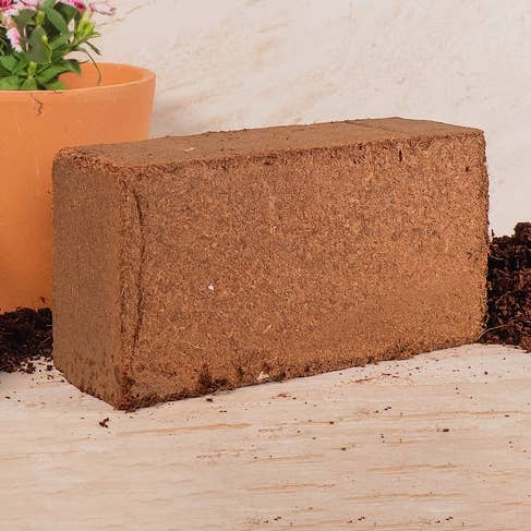 Coir Growing Medium Coco Potting Soil 1.5-lb Block for wholesale by Sol Living