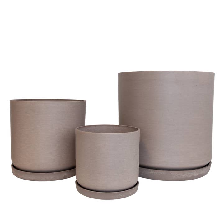 Portland Pot Beachwood SET 3 for wholesale by Potted