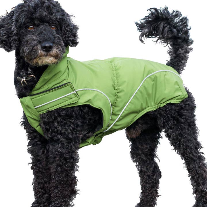 Hunde-Winterjacke, grün - verschiedene Größen für den Großhandel von DogBite