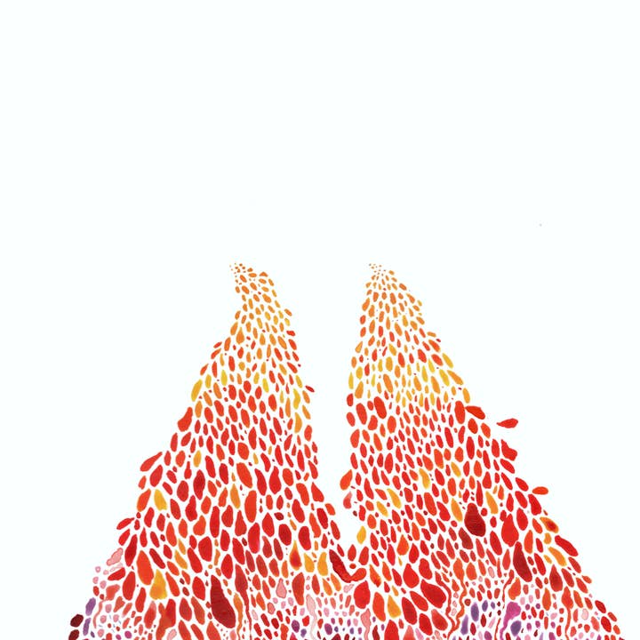 Elephant Shoe Studio - Wholesale Stationery/Notecard Set - Fine Art Note Cards