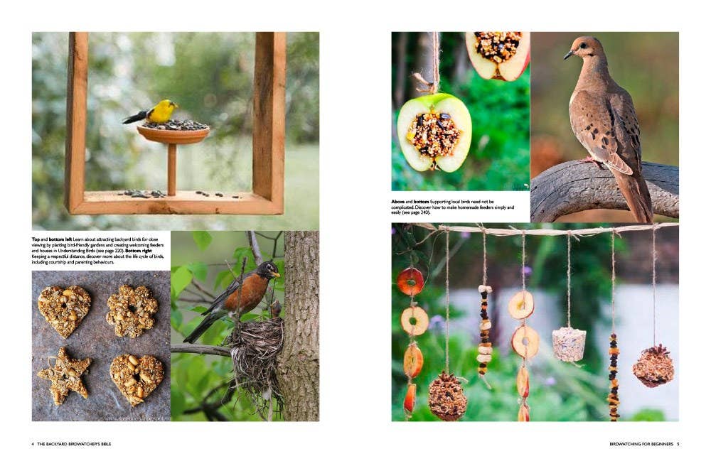 Abrams - Wholesale Nature & Outdoors Book - Backyard Birdwatcher's Bible1