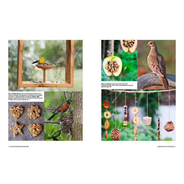 Abrams - Wholesale Nature & Outdoors Book - Backyard Birdwatcher's Bible1