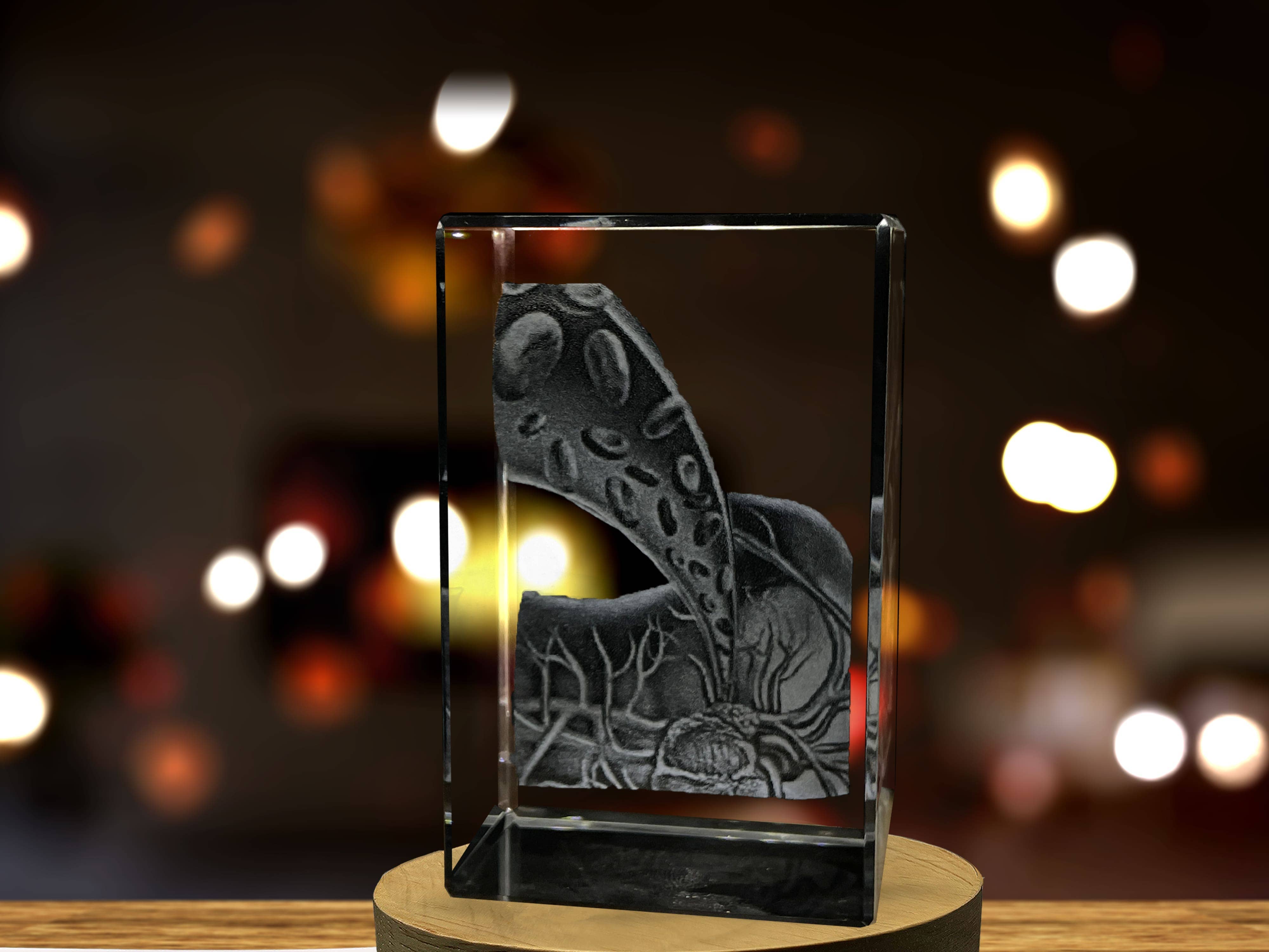 AB Crystal Collection - Wholesale Decorative Tabletop Object - Gallbladder Art | 3D Engraved Crystal Keepsake | Doctor Gift3