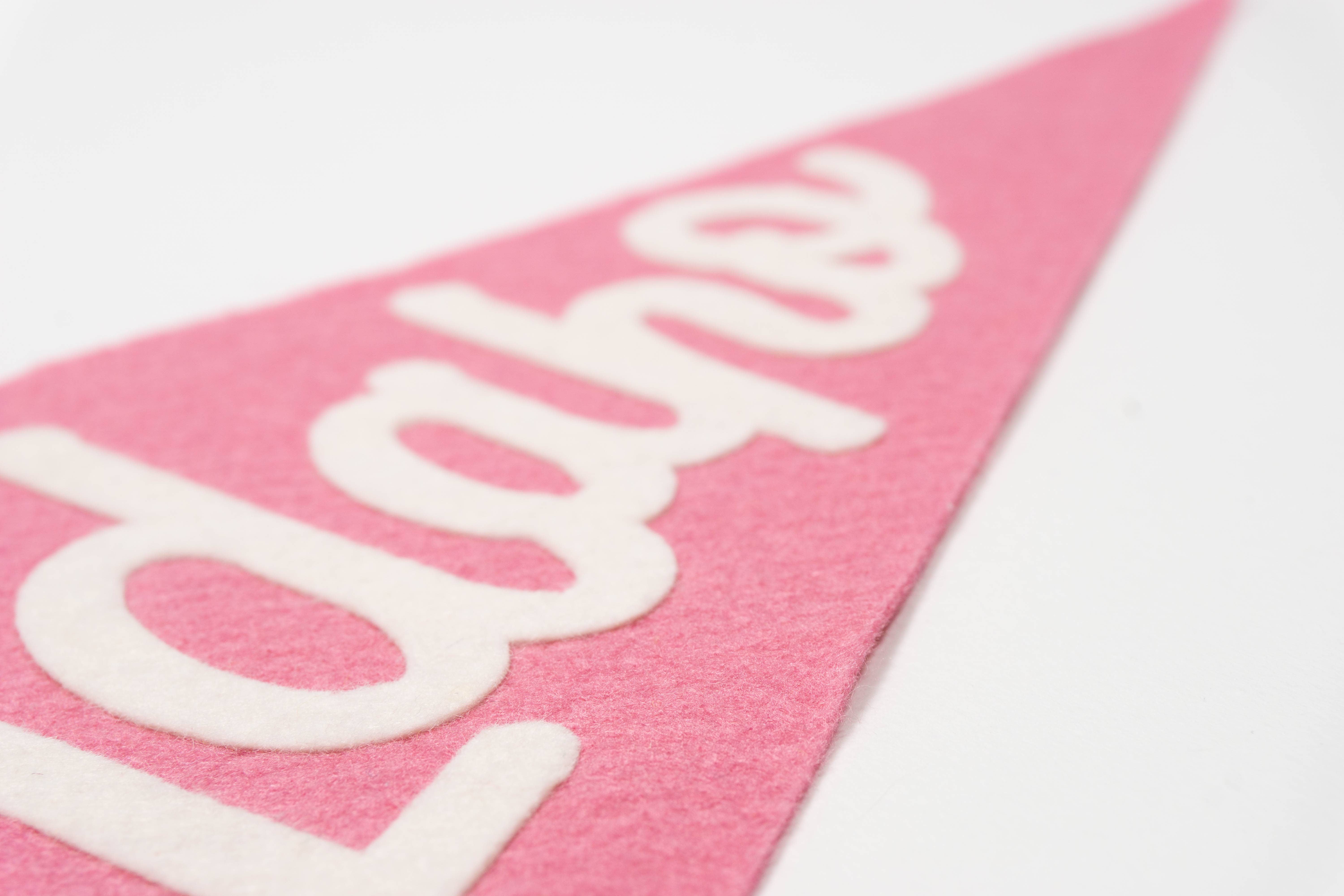 traveldashery - Wholesale Banner - idaho pennant8