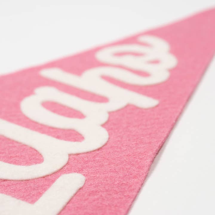 traveldashery - Wholesale Banner - idaho pennant8