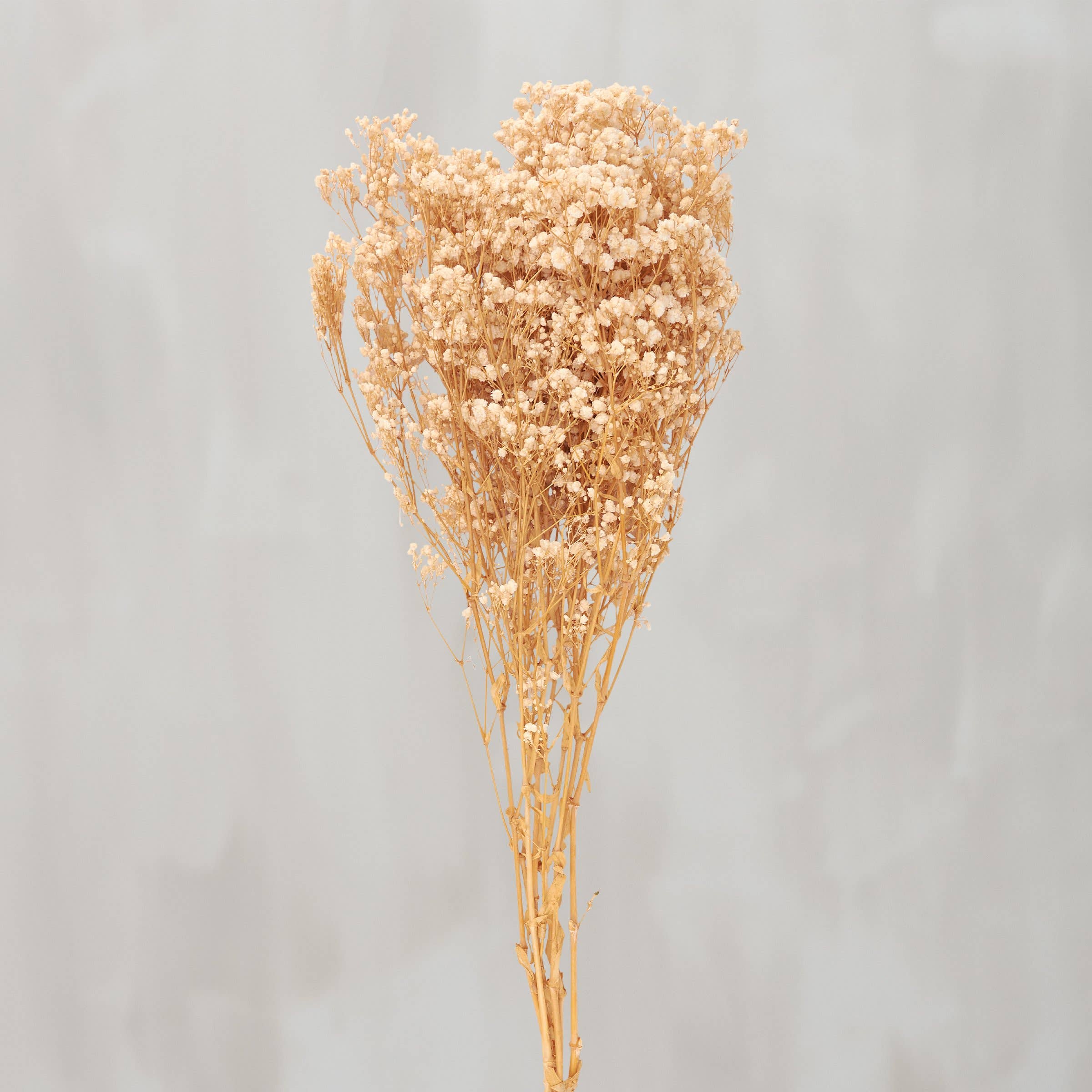 Primitives by Kathy - Wholesale Artificial Flowers - Cream Baby's Breath Bouquet0